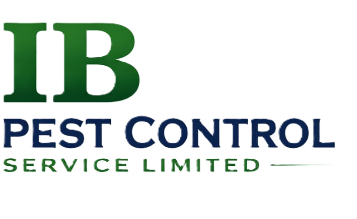 IBPestControl technician fogging a residential compound in Abuja