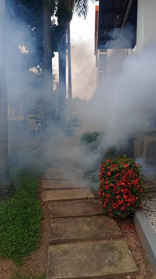 Compound fogging at an Abuja home